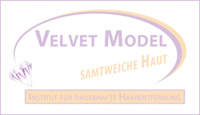 Velvet Model